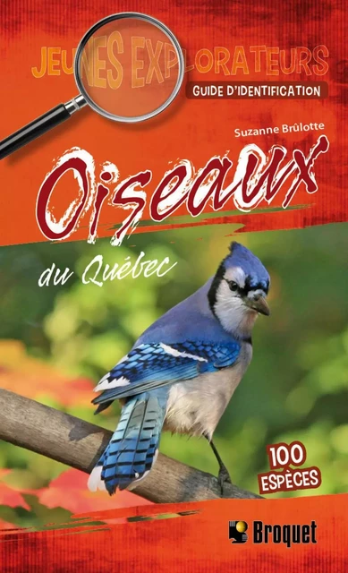 Oiseaux du Québec - Suzanne Brûlotte - Broquet