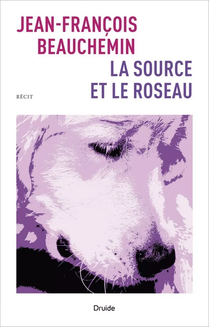 La source et le roseau - Jean-François Beauchemin - Éditions Druide