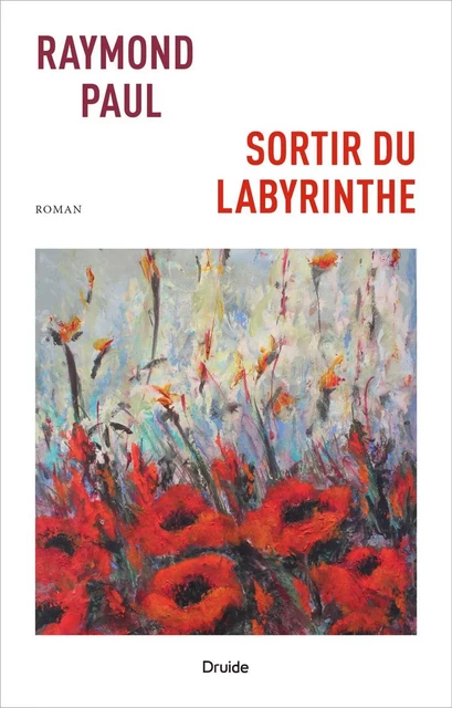 Sortir du labyrinthe - Raymond Paul - Éditions Druide