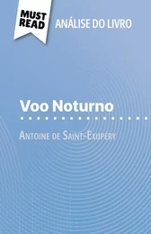 Voo Noturno