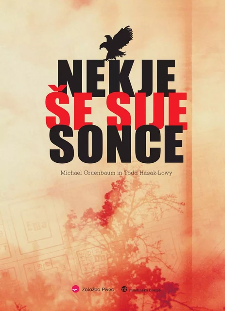 Nekje še sije sonce - Michael Todd Gruenbaum, Michael Gruen, Todd Hasak - Založba Pivec