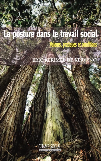 Posture et travail social. Valeurs, pratiques et conditions - Kérimel de Kerveno Éric - Champ social Editions