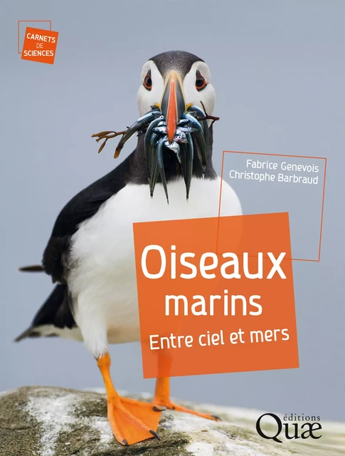 Oiseaux marins - Fabrice Genevois - Quae