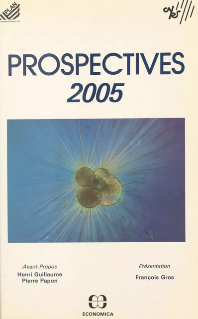 Prospectives 2005 : explorations de l'avenir -  - FeniXX réédition numérique