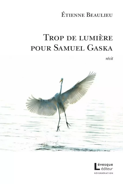 Trop de lumière pour Samuel Gaska - Étienne Beaulieu - Productions Somme Toute