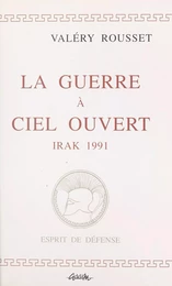 La guerre à ciel ouvert : Irak, 1991