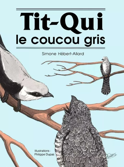 Tit-Qui le coucou gris - Simone Hébert-Allard - Éditions des Plaines