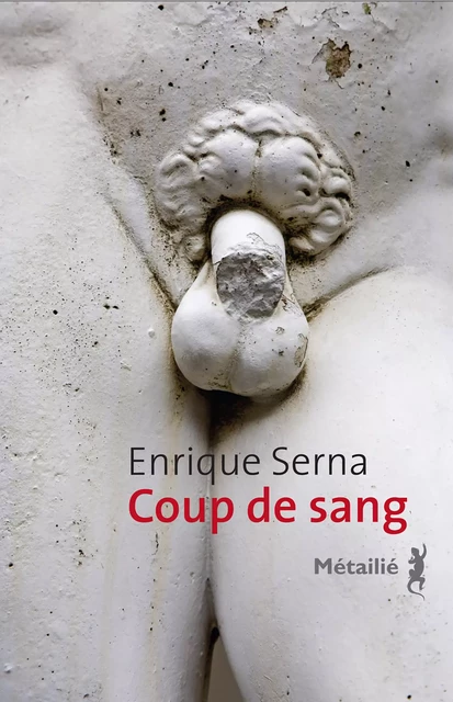 Coup de sang - Enrique Serna - Métailié