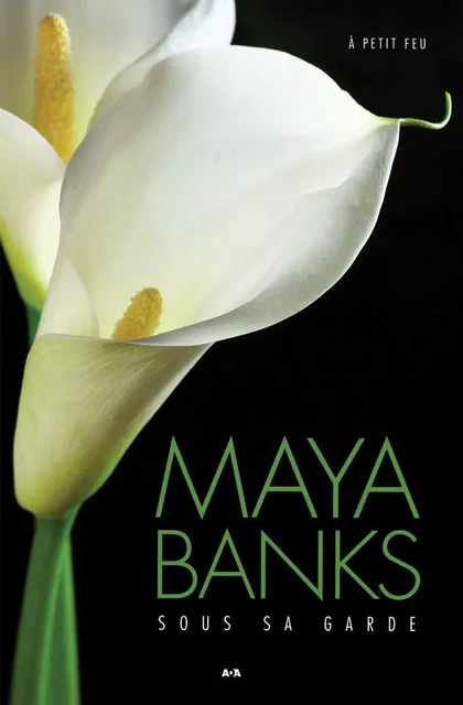 Sous sa garde - Maya Banks - Éditions AdA