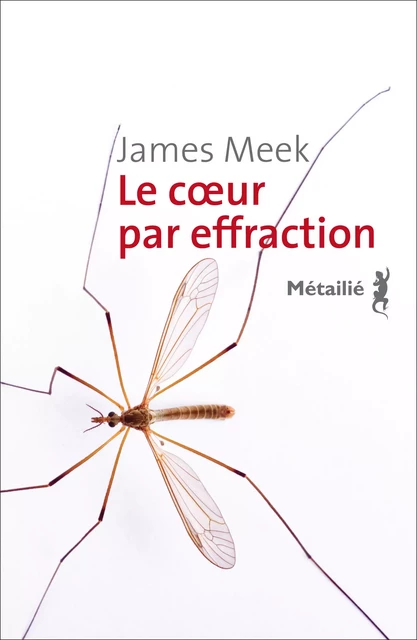 Le cœur par effraction - James Meek - Métailié