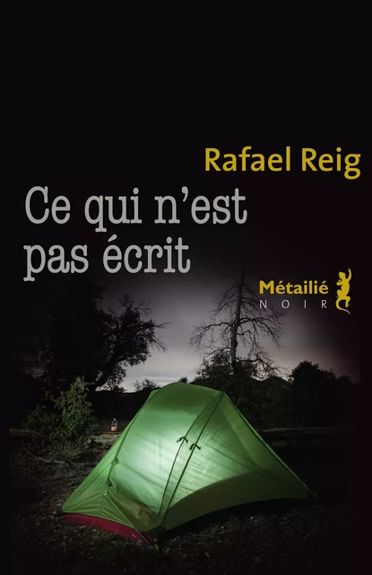 Ce qui n'est pas écrit - Rafael Reig - Métailié