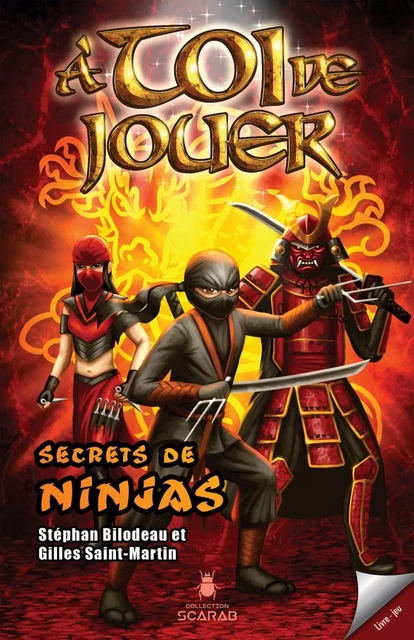 Secrets de ninjas - Stéphan Bilodeau, Gilles Saint-Martin - Éditions AdA