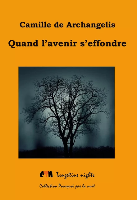 Quand l'avenir s'effondre - Camille de Archangelis - Editions Tangerine nights