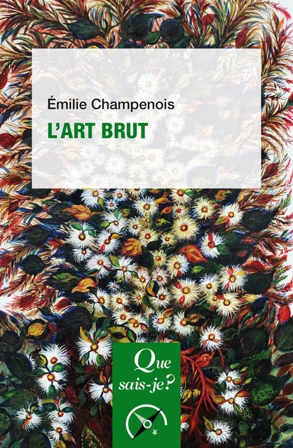 L'art brut - Emilie Champenois - Humensis