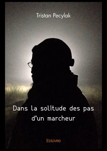 Dans la solitude des pas d'un marcheur - Tristan Pecylak - Editions Edilivre