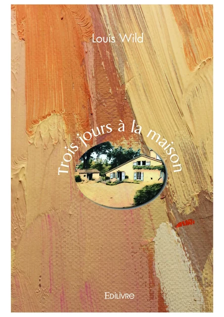 Trois jours à la maison - Louis Wild - Editions Edilivre