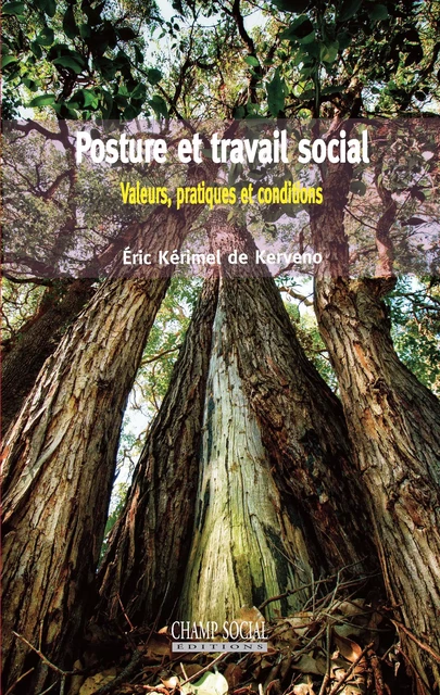 Posture et travail social - Éric Kérimel de Kerveno - Champ social Editions