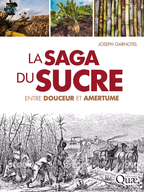 La saga du sucre - Joseph Garnotel - Quae