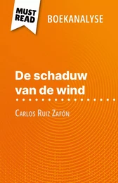 De schaduw van de wind