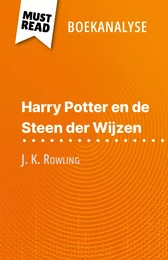 Harry Potter en de Steen der Wijzen