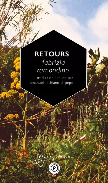 Retours - Fabrizia Ramondino - publie.net