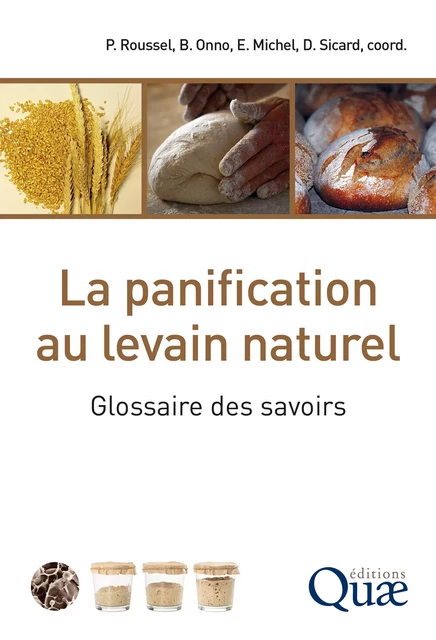 La panification au levain naturel - Philippe Roussel, Bernard Onno, Elisa Michel, Delphine Sicard - Quae