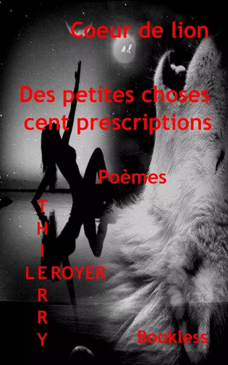 Des petites choses cent prescriptions - Thierry Leroyer - Bookless-editions