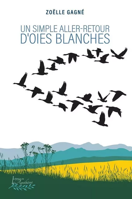 Un simple aller-retour d'oies blanches - Zoelle Gagné - Distribulivre