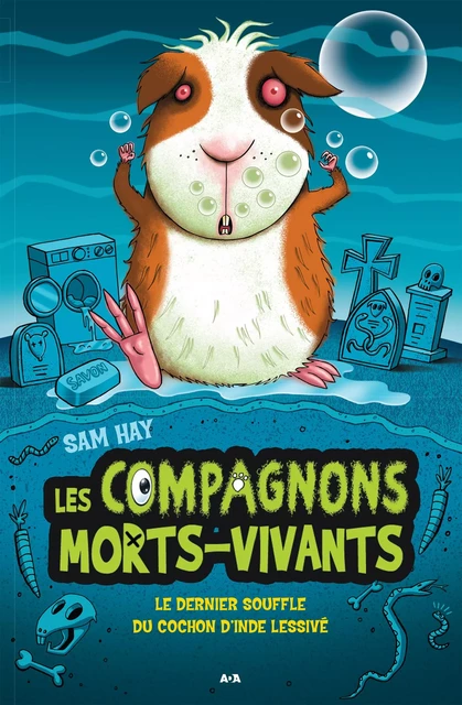 Le dernier souffle du cochon d’Inde lessivé - Sam Hay - Éditions AdA