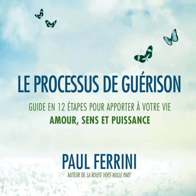 Le processus de guérison : Guide en 12 étapes pour apporter à votre vie ; amour, sens et puissance - Paul Ferrini - ADA audio