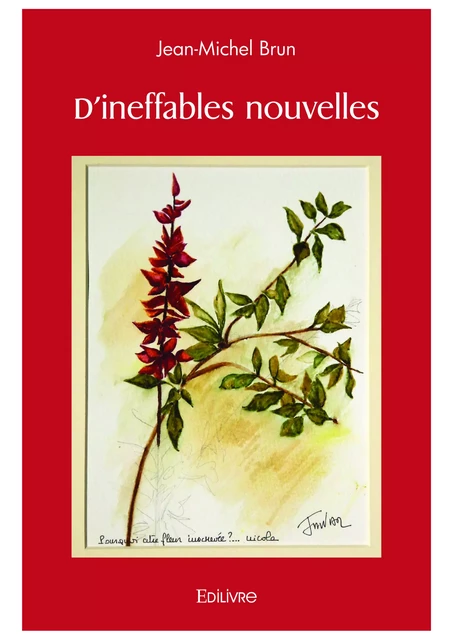 D'ineffables nouvelles - Jean-Michel Brun - Editions Edilivre