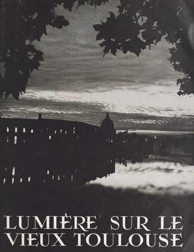 Lumière sur le vieux Toulouse -  Collectif - FeniXX réédition numérique