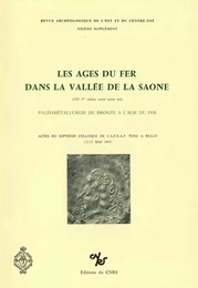 Les âges du fer dans la vallée de la Saône (VIIe - Ier siècles avant notre ère)