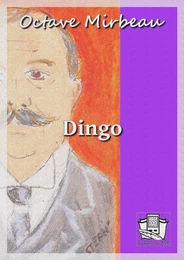 Dingo