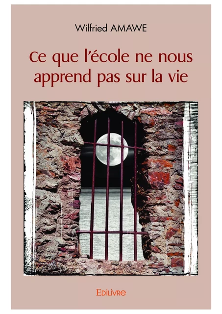 Ce que l'école ne nous apprend pas sur la vie - Wilfried Amawe - Editions Edilivre