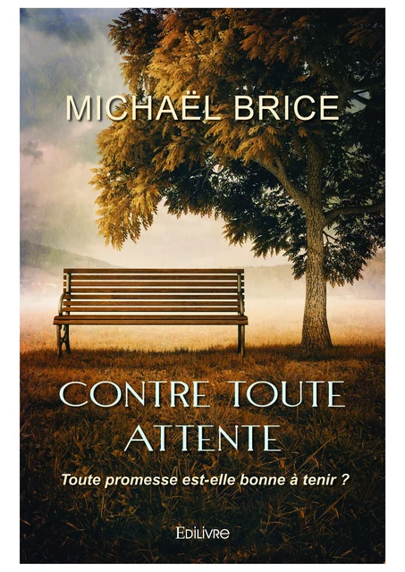 Contre toute attente - Michaël Brice - Editions Edilivre