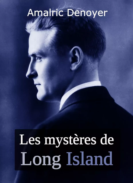 Les mystères de Long Island - Amalric Denoyer - Éditions Textes Gais