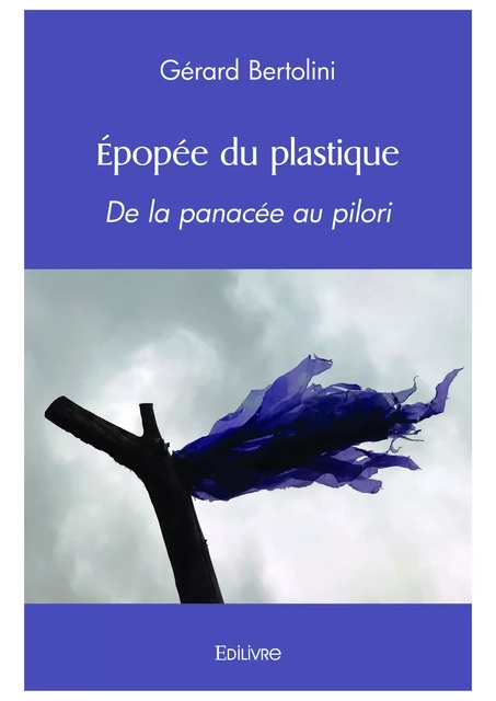 Épopée du plastique - Gerard Bertolini - Editions Edilivre