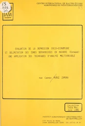 Évaluation de la dépression socio-économique et délimitation des zones défavorisées en Navarre (Espagne) : une application des techniques d'analyse multivariable