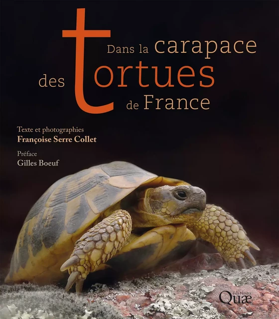 Dans la carapace des tortues de France - Françoise Serre Collet, Gilles Boeuf - Quae