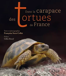 Dans la carapace des tortues de France