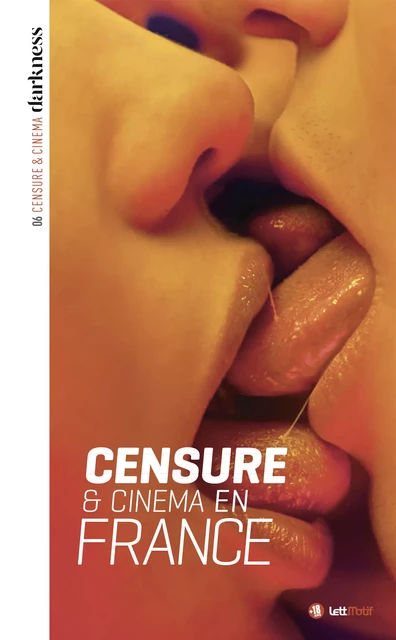 Darkness 6 (Censure & cinéma en France) - Christophe Triollet, Norbert Moutier, Jean-François Théry, Jean-François Mary, André Bonnet, Marie-Odile Diemer, Nicolas Blanc, Laurence Juan, Fernand Garcia, Albert Montagne, Eric Peretti, Marc le Roy, Benjamin Campion - LettMotif