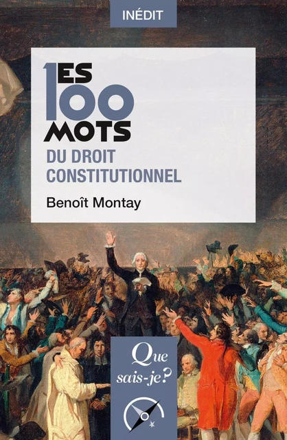 Les 100 mots du droit constitutionnel - Benoît Montay - Humensis