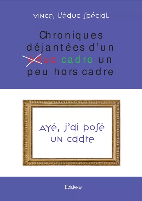 Chroniques déjantées d’un (éduc) cadre un peu hors cadre -  Vince - Editions Edilivre