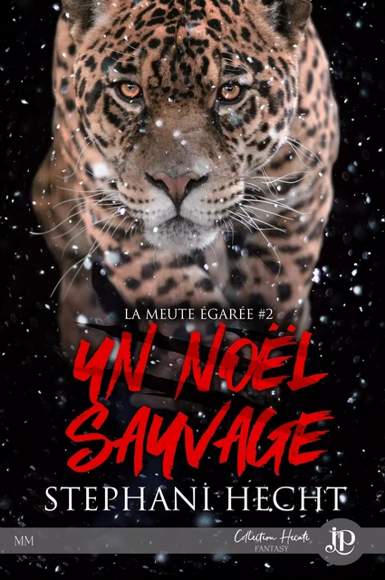 Un noël sauvage - Stephani Hecht - Juno Publishing