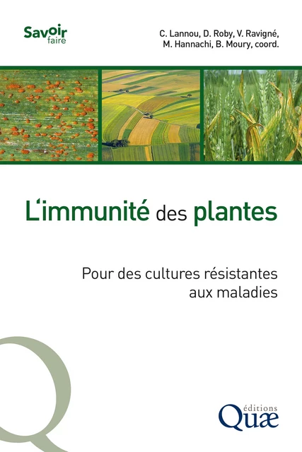 L'immunité des plantes - Christian Lannou, Dominique Roby, Virginie Ravigné, Mourad Hannachi, Benoît Moury - Quae