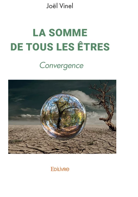 La Somme de tous les êtres - Joël Vinel - Editions Edilivre