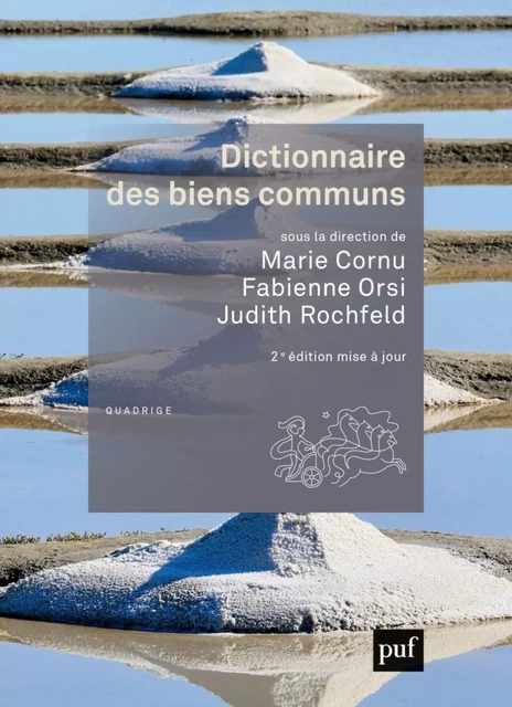 Dictionnaire des biens communs - Judith Rochfeld, Marie Cornu, Fabienne Orsi - Humensis