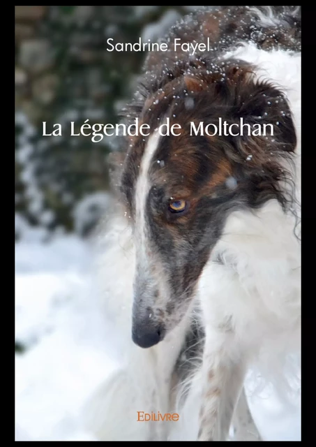 La Légende de Moltchan - Sandrine Fayel - Editions Edilivre