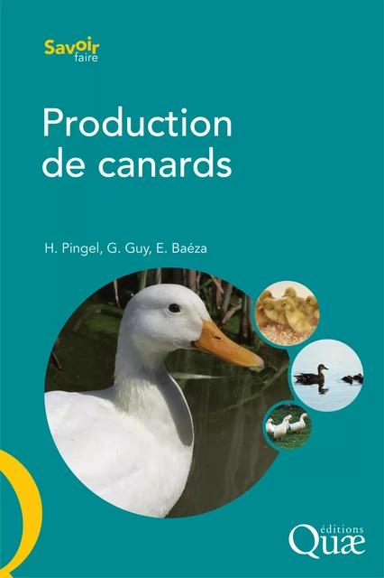 Production de canards - Gérard Guy, Heinz Pingel, Elisabeth Baéza - Quae